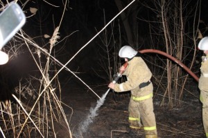 Ночью в Астрахани неизвестные устроили пожар на Городском острове