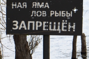 В Астраханской области выявлены факты незаконного вылова рыбы на зимовальных ямах