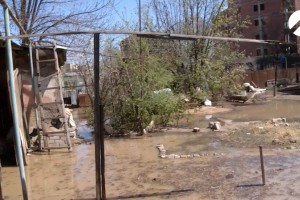 В Астрахани жителей домов на улице Зелёной затопило