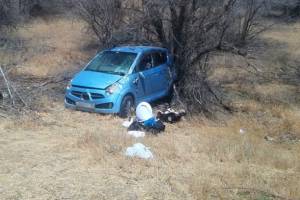 Астраханка за рулем иномарки врезалась в дерево: пострадал пассажир