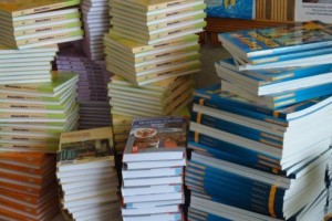 Избавить российских школьников от бумажных учебников обойдётся бюджету в 507 млрд рублей