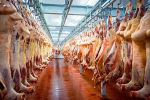 Астраханская область почти в четыре раза увеличила экспорт мяса в Иран