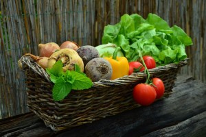 На опытных делянках АГАСУ выращивают 56 новых сортов овощей