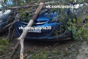 В Астрахани второй день подряд на машины падают деревья