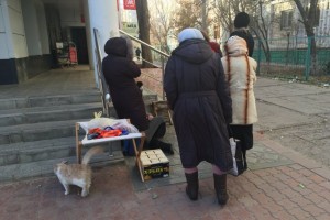 «Астрахань 24» узнал подробности смерти пожилой женщины на улице Кубанской