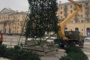 На площади Ленина в Астрахани начали устанавливать 13-метровую елку