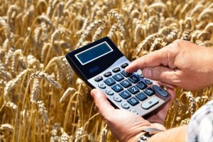 На поддержку сельского хозяйства в Астраханской области планируют направить 900 миллионов рублей