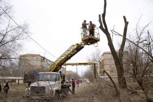 В Астрахани по просьбе местных жителей провели опиловку деревьев