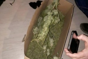 Житель Астраханской области заготовил для личного употребления 2,5 кг наркотиков