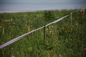 Жители Астраханской области обвиняются в мошенничестве с земельными участками на 5 млн рублей
