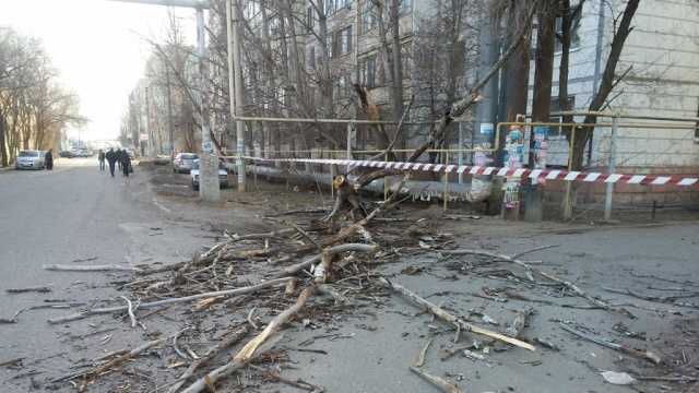 Упало дерево Астрахань