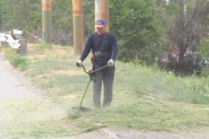В Астраханской области скашивают сорняк