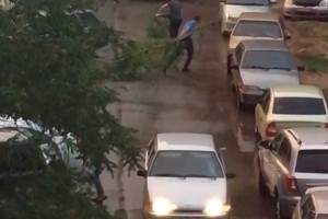 Жителям Астрахани пришлось своими силами убирать рухнувшее во дворе дома дерево
