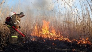 Комплексный подход к решению проблем с ландшафтными пожарами