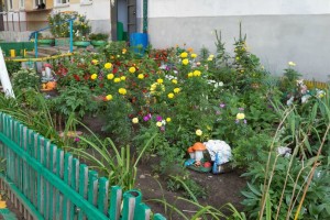 Астраханцы могут принять участие в конкурсе по облагораживанию двора