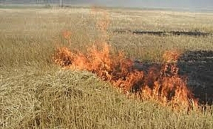Сильный ветер может спровоцировать пожары в Астраханской области