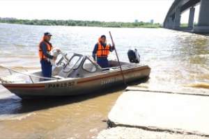 Операция по спасению лебедя в Астрахани прошла успешно