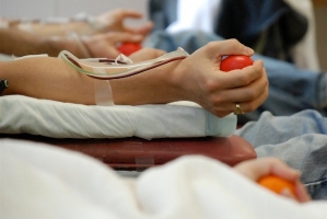 Стань донором. В день здоровья астраханцев приглашают сдать кровь