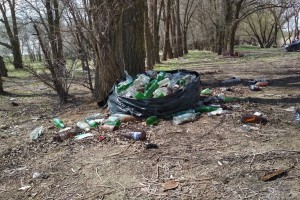 В районе ерика Ножовский ликвидировали мусорные завалы