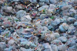 С 1 июля в Астраханской области снизится размер платы на вывоз мусора