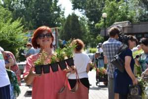 В Астрахани выберут самые благоустроенные дворы
