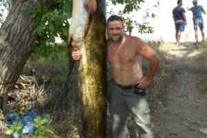 В Астраханской области поймали рыбу невероятных размеров