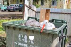 Нормативы по вывозу мусора могут пересмотреть