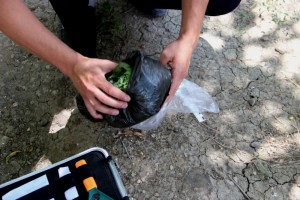 Полицейские поймали ранее судимого астраханца с пакетом конопли