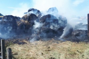 В Камызякском районе сгорело 10 тонн сена