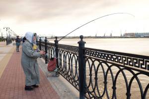 Новые нормы вылова рыбы в Астраханской области: когда начнут действовать и что изменят