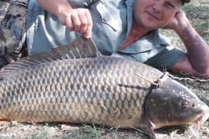 В Астраханской области рыбак поймал сазана-гиганта весом почти 25 кг