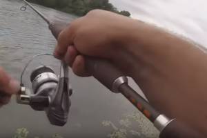 Темное нечто в реке неожиданно атаковало добычу рыбака &#8212; захватывающее видео