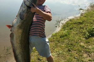 Приезжий турист похвастался гигантским уловом на астраханской рыбалке
