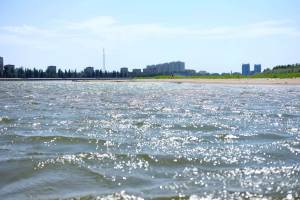 Экстремальная жара в Астрахани может привести к страшным последствиям