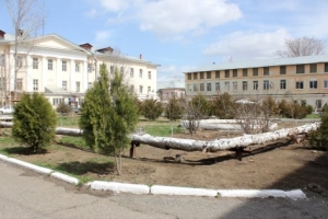 «Парк Победы» заложен на территории старейшей астраханской больницы