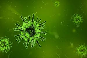Какие штаммы вируса гриппа будут циркулировать с приходом холодов