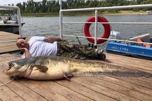 В Астраханской области поймали огромную рыбу, которая едва не перевернула лодку с рыбаками