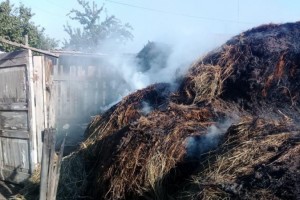 В Астраханской области жгли мусор, а сожгли сено