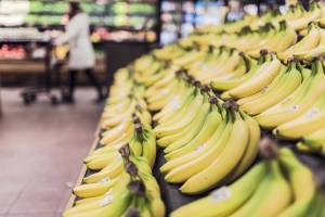 Дефицит бананов из-за климата предсказали ученые