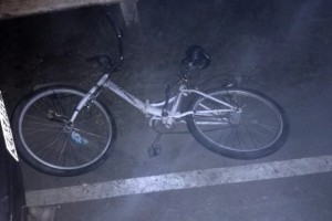 Автоледи насмерть сбила велосипедиста
