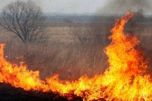 Под Астраханью борются с крупным пожаром