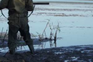 Сезон охоты в Астраханской области откроется уже в конце сентября