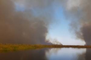 Под Астраханью более 9 часов полыхает крупный пожар в заповеднике