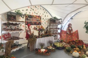Делегация Астраханской области приняла участие в Международном форуме «Хлеб, ты – мир» в Калужской области