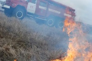 Минприроды поручило Астраханской области усилить противопожарные меры в лесах