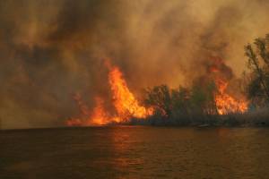 Астраханская путина и тростниковые пожары: есть ли между ними связь
