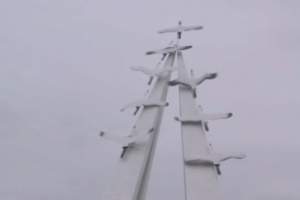 Астраханцы отметили ежегодный праздник “Белых журавлей”