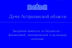 В Астраханской областной Думе рассматривают законопроект мер соцподдержки