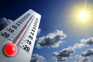 В пятницу в Астраханской области потеплеет до +20 °С