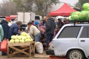 Астраханцы запасаются овощами к зиме